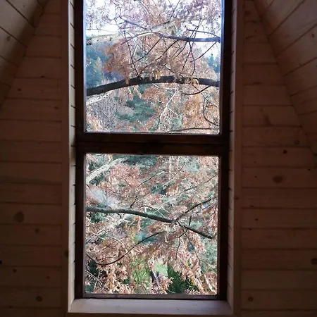 木屋 Radihaus & Treehaus Zar - Arkadia