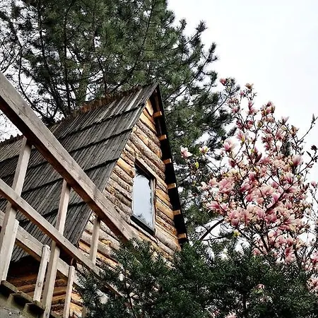 Radihaus & Treehaus Zar - Arkadia 木屋 *